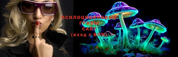 кокс Пересвет