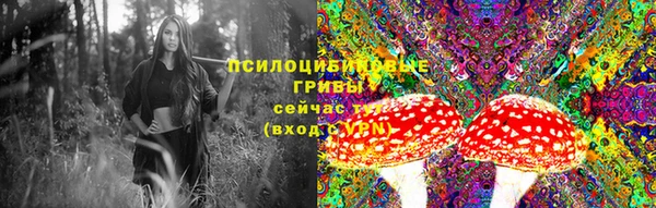 кокс Пересвет