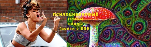 прущий лед Переславль-Залесский