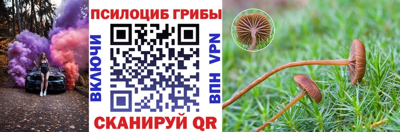 Галлюциногенные грибы прущие грибы  Абдулино 